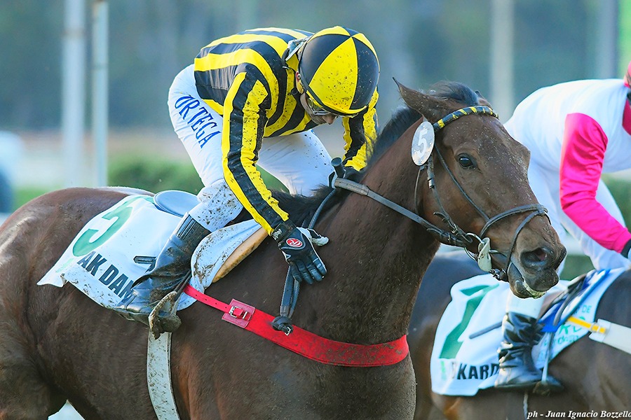 Ordak Dan (Hidden Truth) se lleva el Clásico Chacabuco (G2-2400m-Pasto-PAL). - Staff ElTurf.com