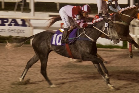 Anacarol (Cagney) conquista el Clásico Italia (1600m-Arena-MAR). - Staff ElTurf.com