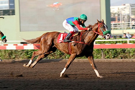 Luhho (Apprentice) se impuso en el Clásico Mario Manzur Chamy (1300m-Arena-MONT). - Staff ElTurf.com