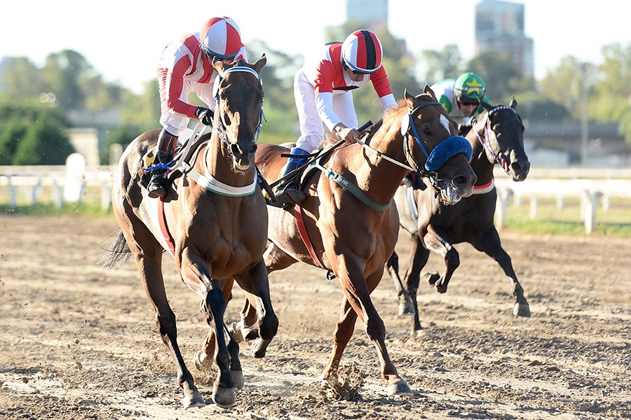 Roman School (Roman Ruler) conquistó Handicap (1000m-Arena-PAL). - Staff ElTurf.com