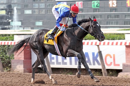 Tumble Town (Tumblebrutus) conquistó el Clásico Jaime Garcia-huidobro Dominguez (1500m-Arena-HCH). - Staff ElTurf.com