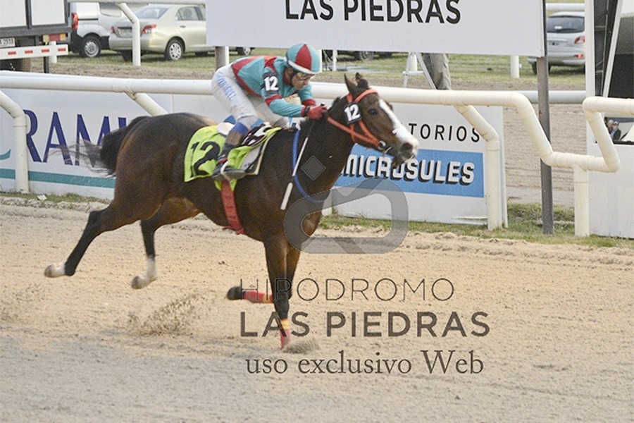 Enjoy (Fund of Funds) se queda con la victoria en el Clásico Gran Premio Reapertura De Las Piedras (1200m-Arena-LPI). - Staff ElTurf.com