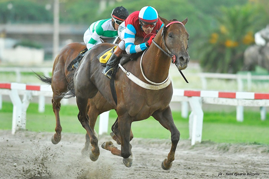 Roman Crest (Roman Ruler) se adjudicó Handicap (1400m-Arena-PAL). - Staff ElTurf.com