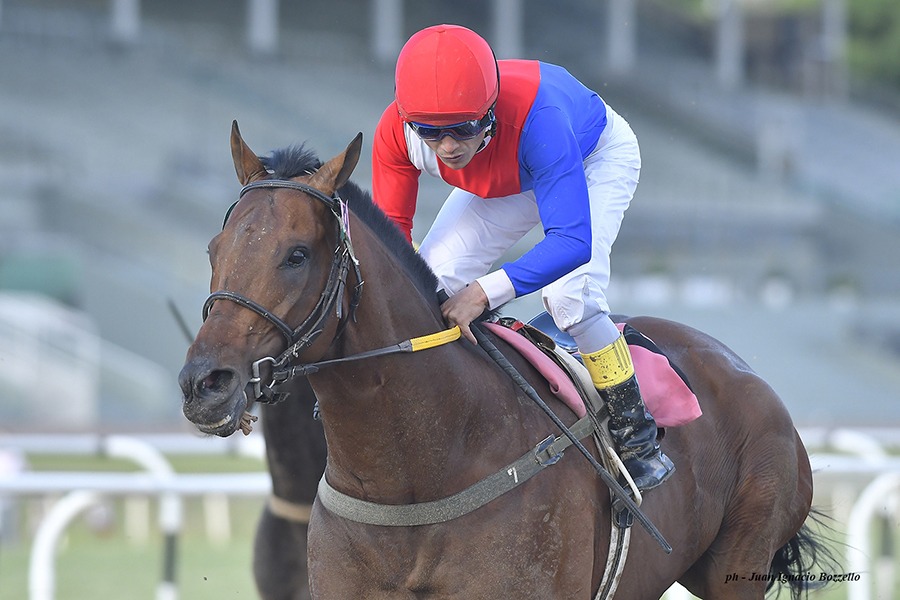 Sei Romano (Roman Ruler) se impuso en Handicap (2000m-Arena-SI). - Staff ElTurf.com