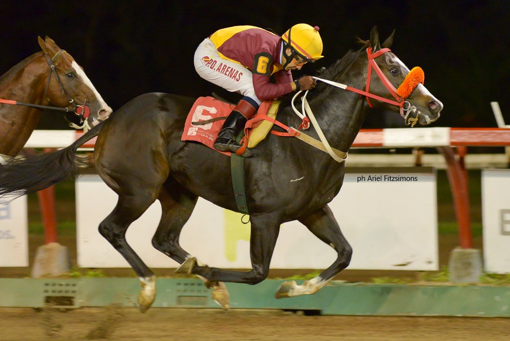 My Little Freud (Freud) se adjudica Especial (1400m-Arena-LP). - Staff ElTurf.com