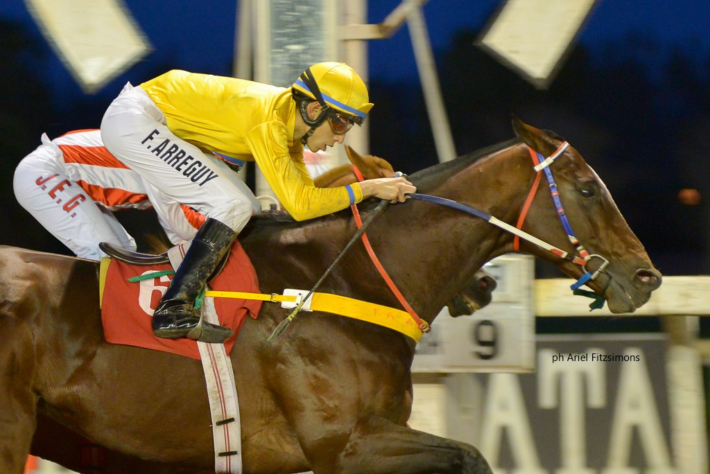 Savage Vandal (Pollard´s Vision) se quedó con la victoria en Condicional (1600m-Arena-LP). - Staff ElTurf.com