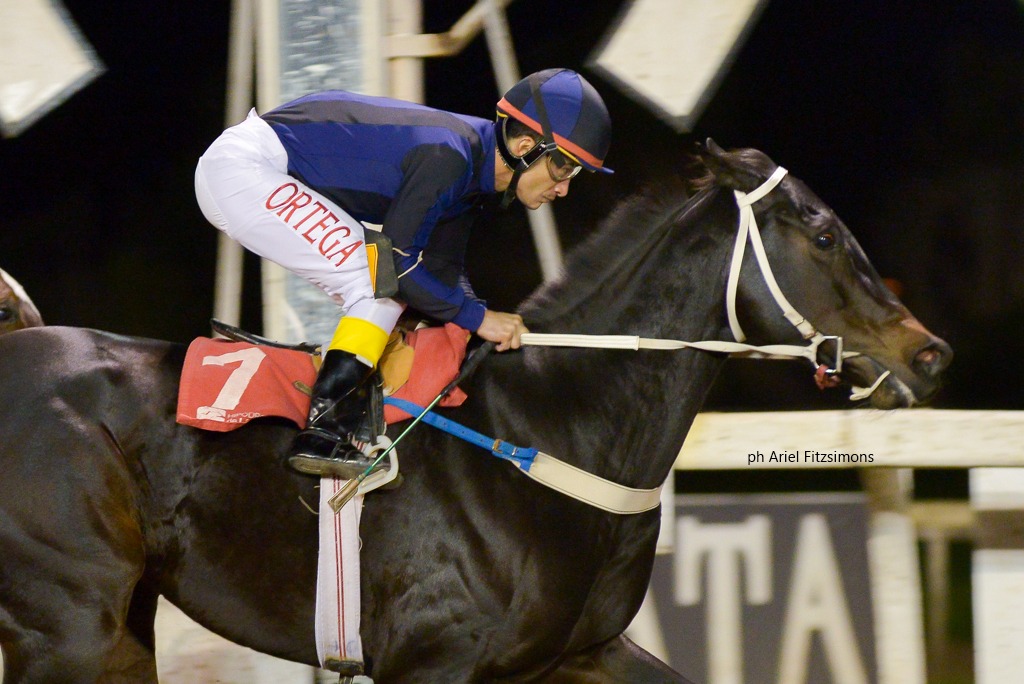 White Chapel (Not For Sale) se queda con la victoria en Especial (1100m-Arena-LP). - Staff ElTurf.com
