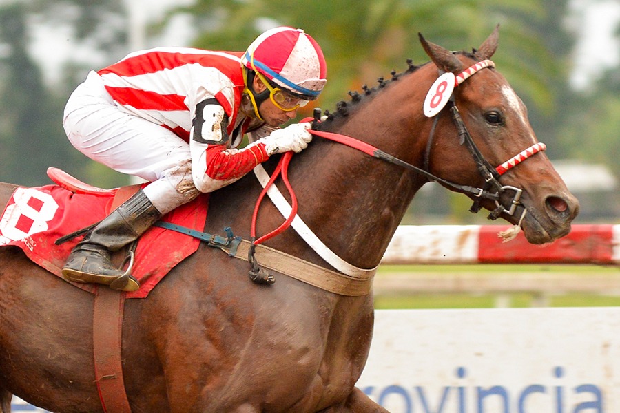 Icebox (Jump Start) se quedó con la victoria en el Clásico Julio Corte (1100m-Arena-LP). - Staff ElTurf.com