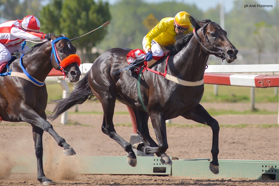 Full Start (Jump Start) se quedó con la victoria en Condicional (1200m-Arena-LP). - Staff ElTurf.com