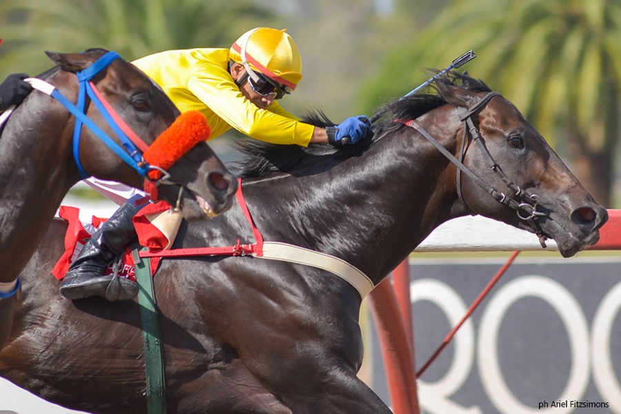 Full Start (Jump Start) se quedó con la victoria en Condicional (1200m-Arena-LP). - Staff ElTurf.com