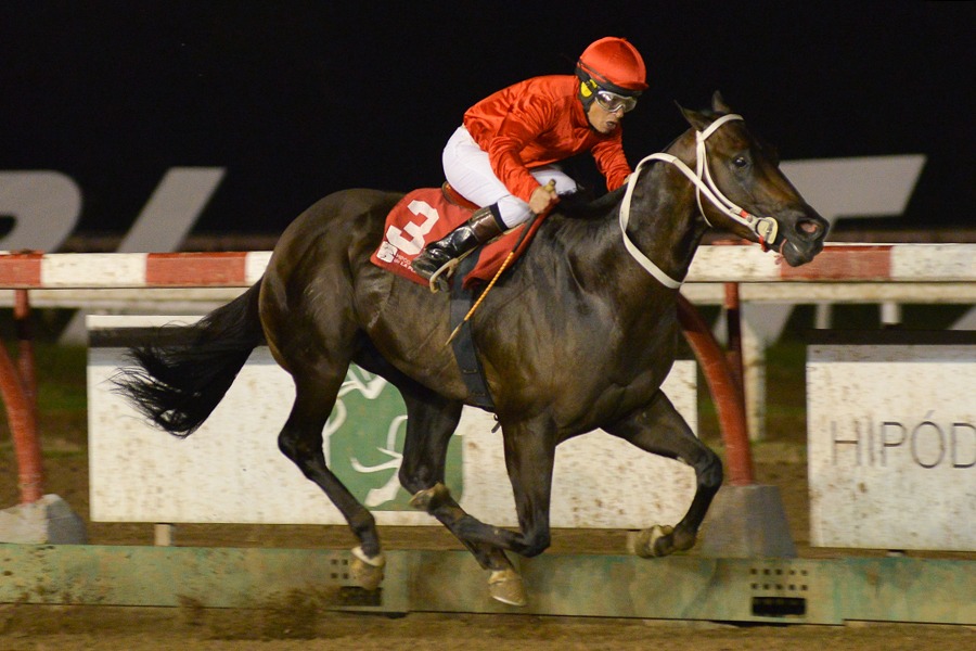 Richard Bell (Emperor Richard) se queda con Condicional (1200m-Arena-LP). - Staff ElTurf.com