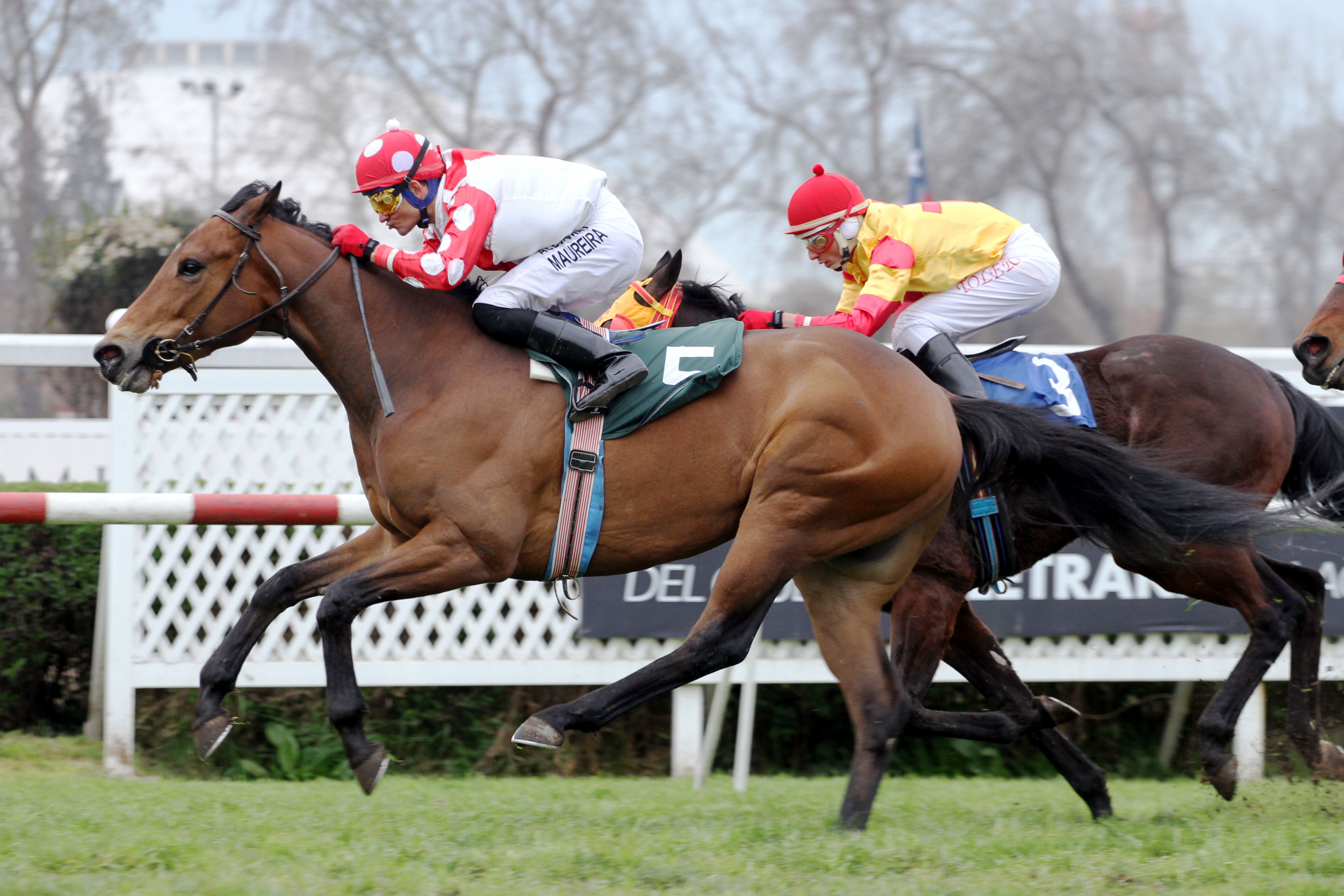 Crupier (Rock of Gibraltar) se quedó con la victoria en el Clásico Veedor (1100m-Pasto-CHS). - Staff ElTurf.com
