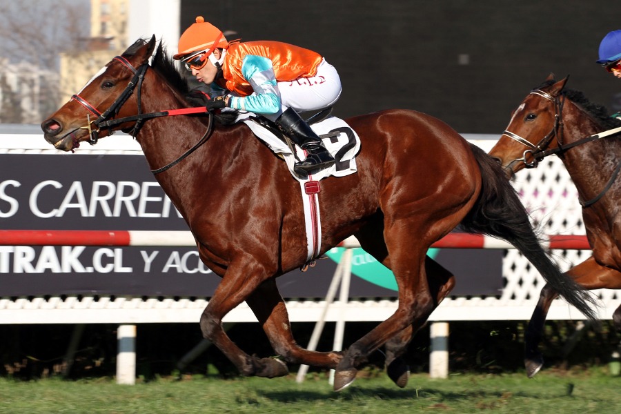 Marie Madelaine (Ivan Denisovich) se adjudica el Clásico Francisco Baeza S. (G2-2000m-Pasto-CHS). - Staff ElTurf.com