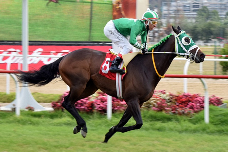 Sorana (Seeking The Dia) se adjudica el Clásico Diario La Hipica (1400m-Pasto-VSC). - Staff ElTurf.com