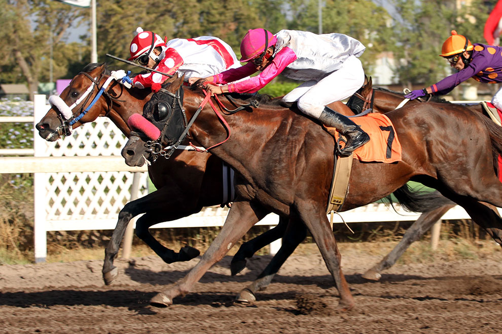 Fuiste Mio (Rock of Gibraltar) se impuso en el Clásico Porfido (1800m-Arena-CHS). - Staff ElTurf.com
