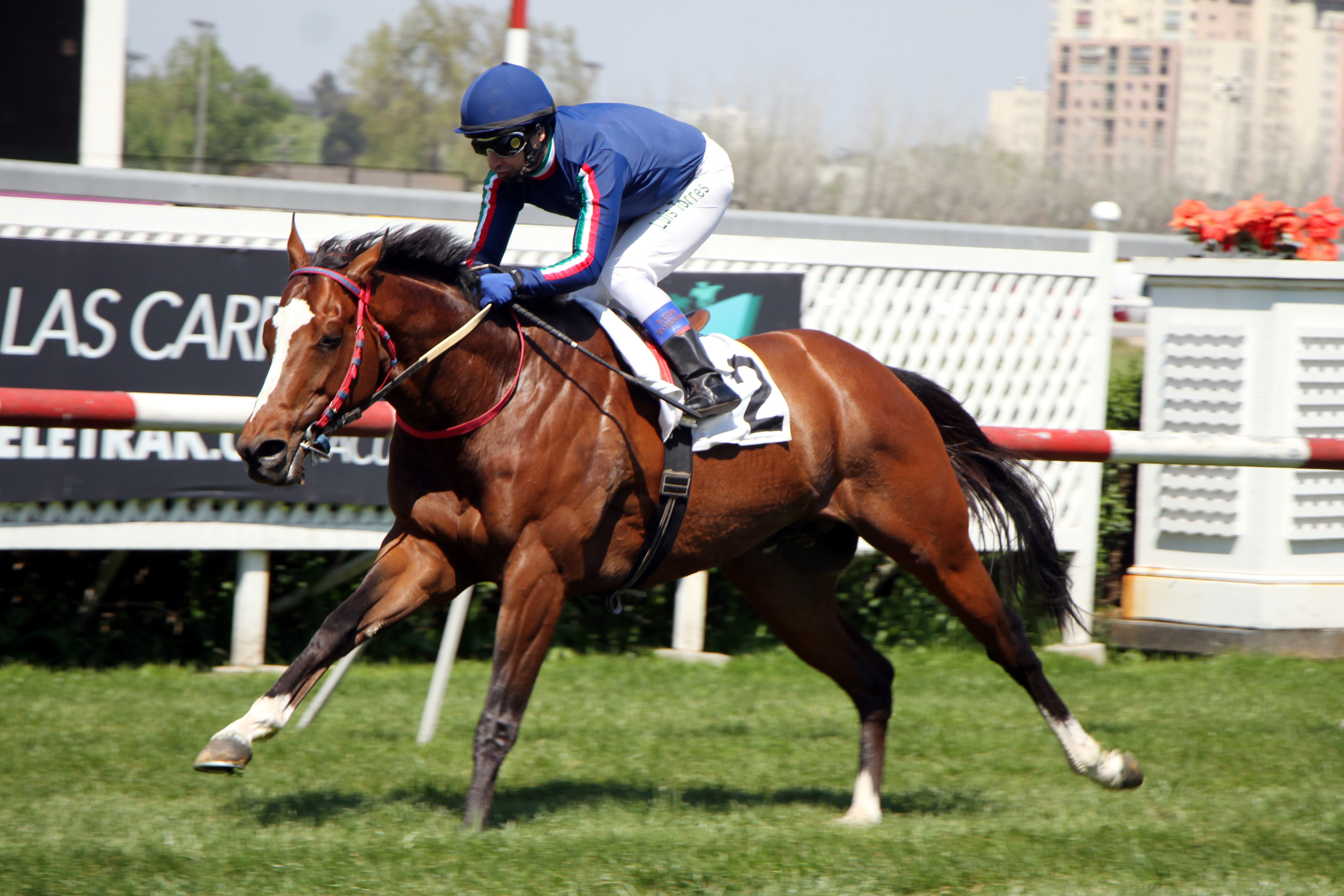 Larco (Ivan Denisovich) se impuso en el Clásico Jorge Yapur N. (1600m-Pasto-CHS). - Staff ElTurf.com