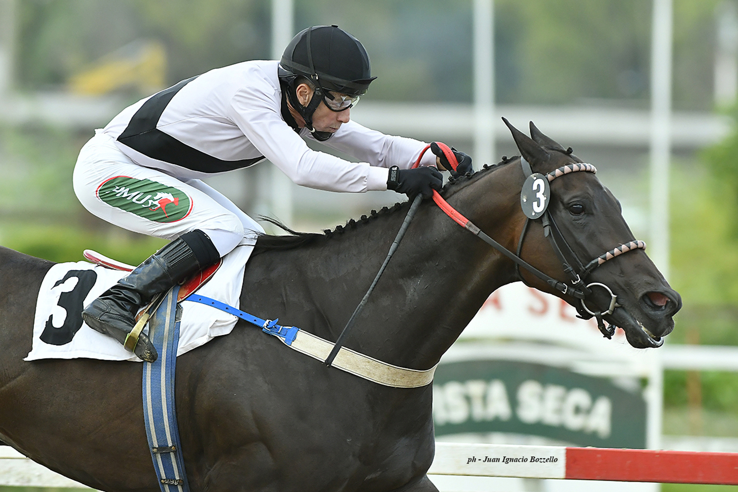 Fiesta Dorada (Jump Start) se queda con el Clásico Jamelao (1400m-Arena-PAL). - Staff ElTurf.com