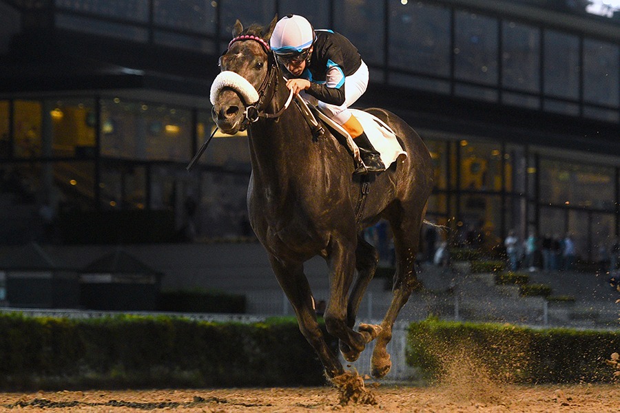 Ex Tradition (Exchange Rate) ganó el Clásico El Virtuoso (1600m-Arena-PAL). - Staff ElTurf.com