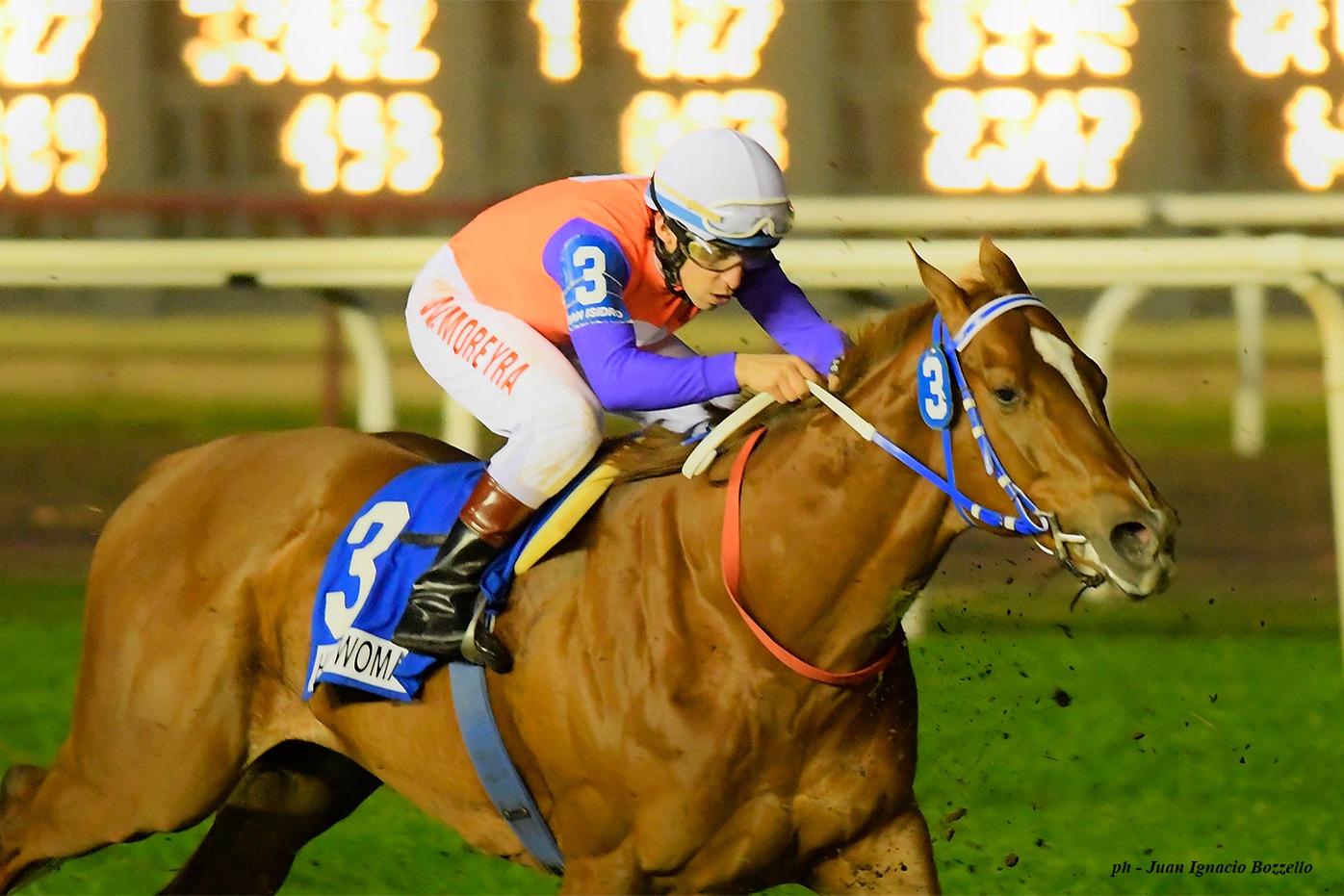Holly Woman (Tawqeet) se impuso en el Clásico Ocurrencia (G3-1000m-Pasto-SI). - Staff ElTurf.com
