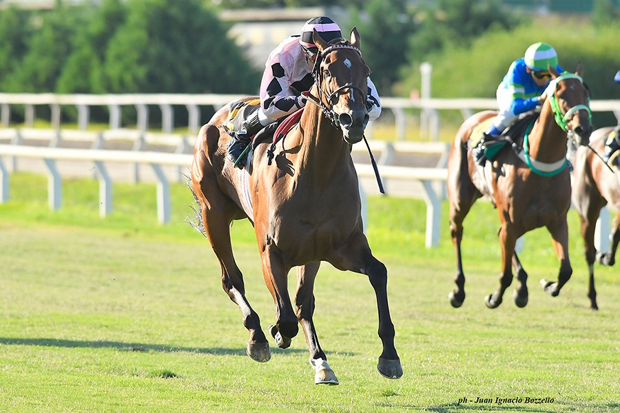 Lost Treasure (City Banker) se lleva el Clásico Espadaña (1400m-Pasto-PAL). - Staff ElTurf.com