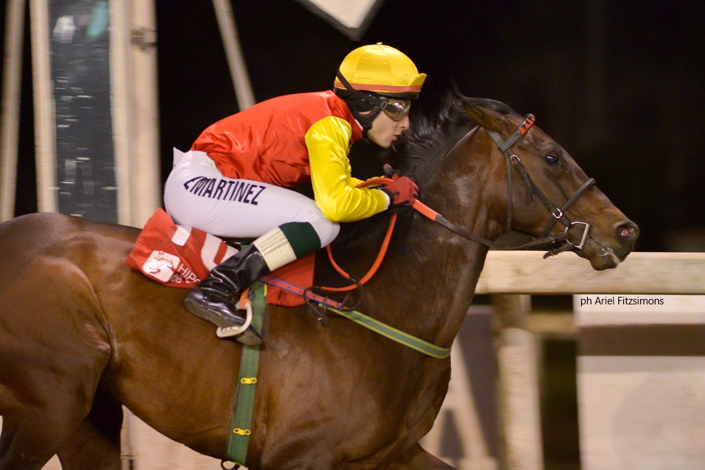 Instant Access (Not For Sale) se impuso en Condicional (1500m-Arena-LP). - Staff ElTurf.com