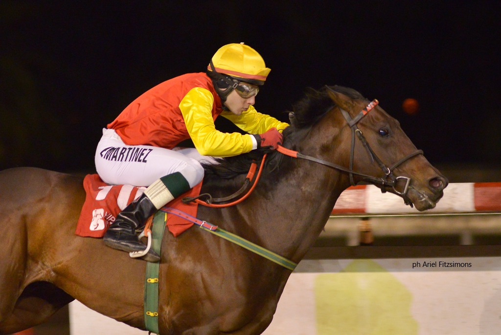 Instant Access (Not For Sale) se impuso en Condicional (1500m-Arena-LP). - Staff ElTurf.com