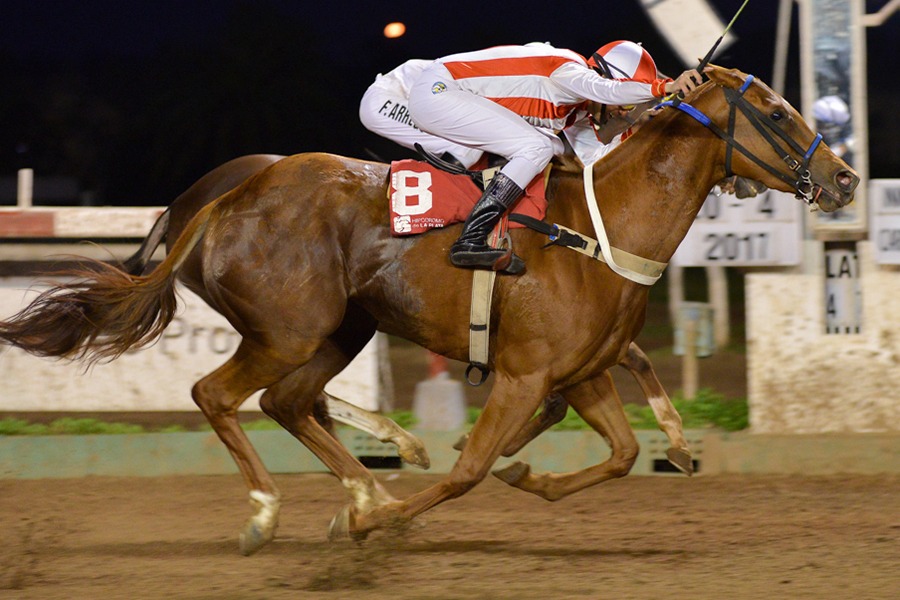 Dolomitas (Perfectperformance) se adjudica Condicional (1000m-Arena-LP). - Staff ElTurf.com