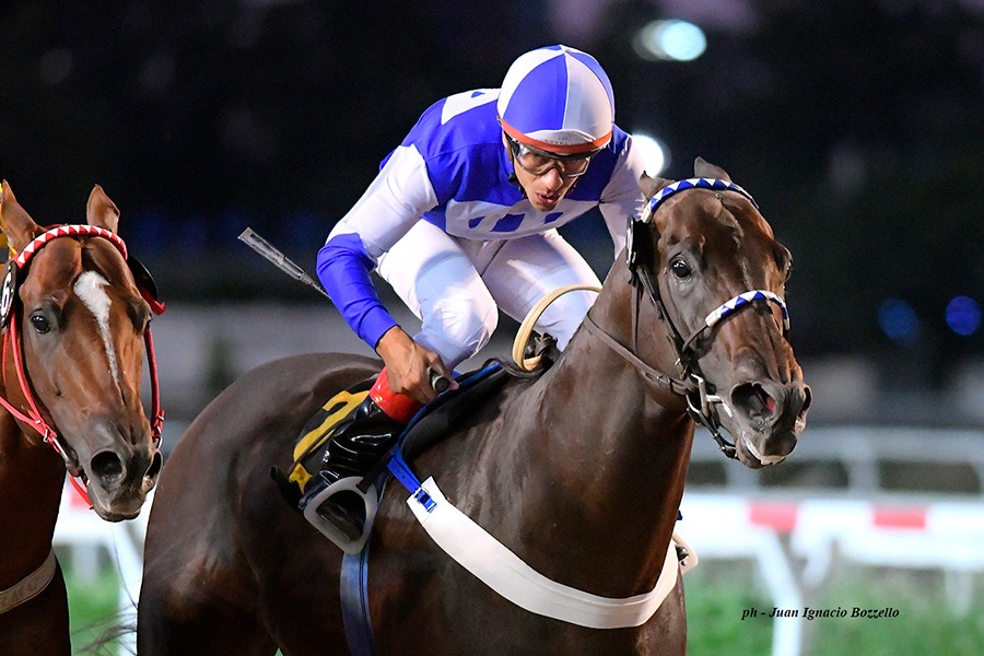 Romantiko (Easing Along) se impuso en Handicap (1000m-Arena-PAL). - Staff ElTurf.com