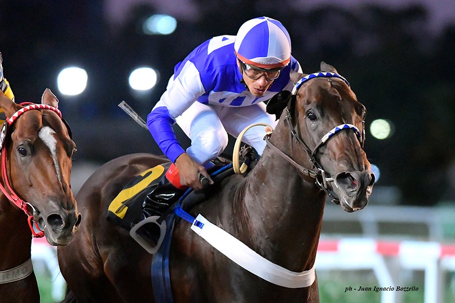 Romantiko (Easing Along) se impuso en Handicap (1000m-Arena-PAL). - Staff ElTurf.com