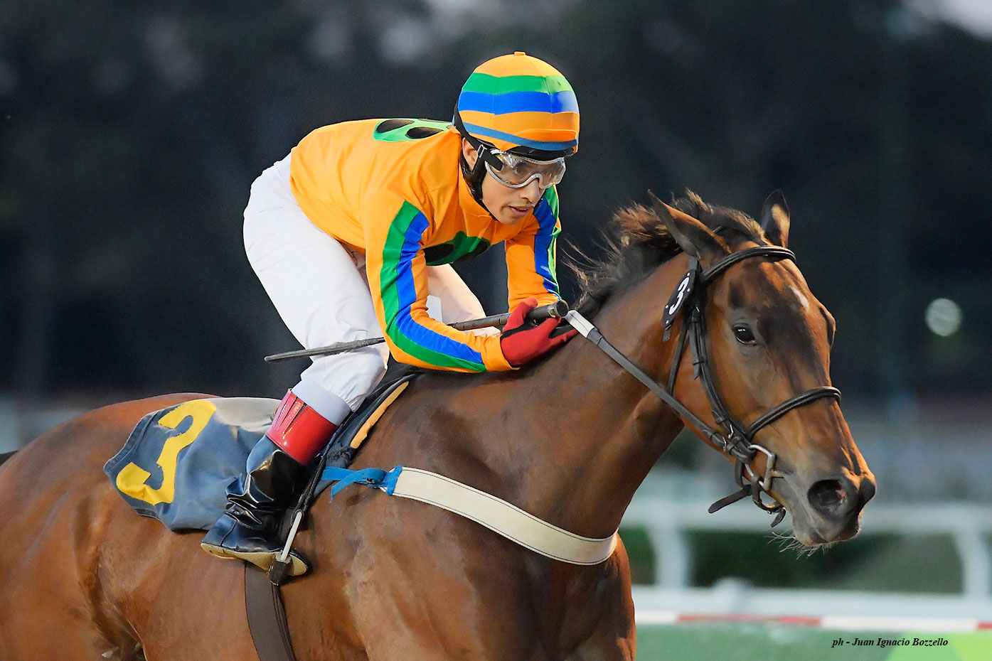Aki Mirame (Freud) gana Handicap (1200m-Arena-PAL). - Staff ElTurf.com