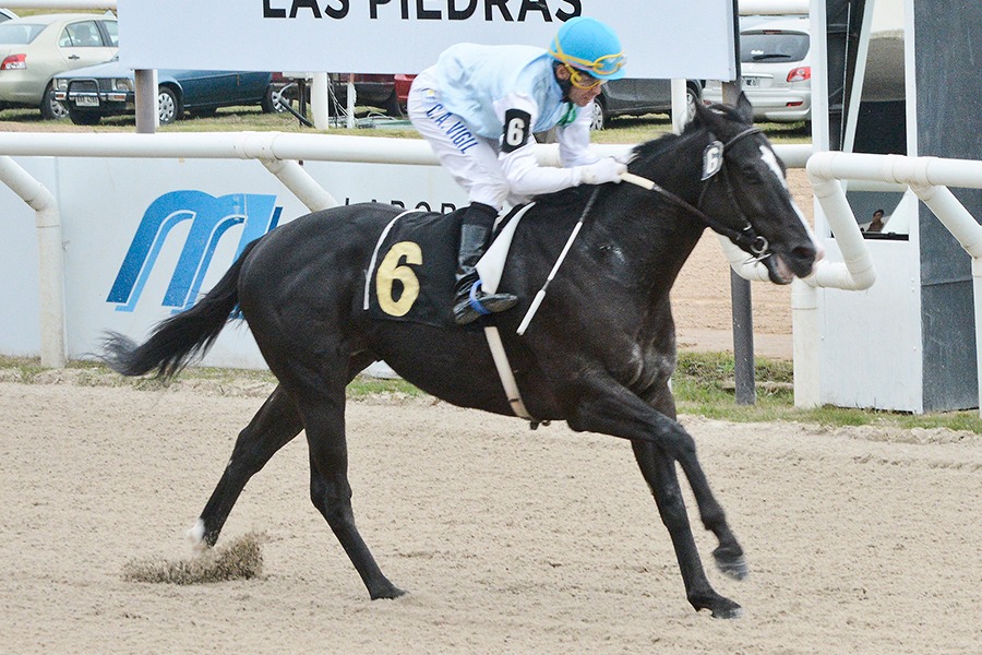 Hat Dolar (Hat Trick) ganó el Clásico Gran Premio Ubaldo Seré (1500m-Arena-LPI). - Staff ElTurf.com