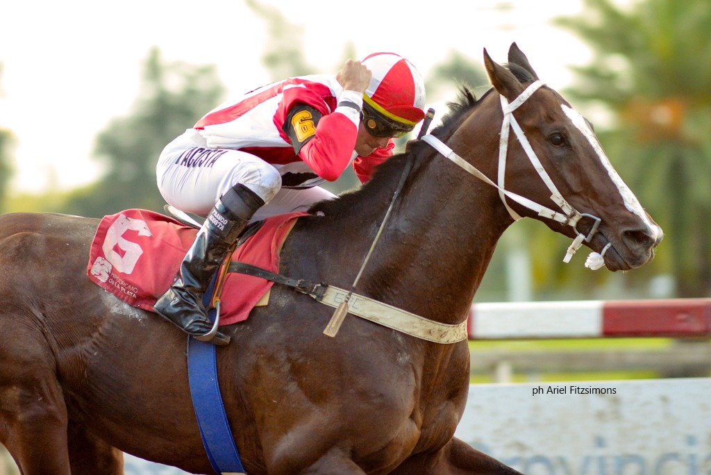 Roberts Pen (Orpen) se quedó con la victoria en el Clásico Ignacio Correas (1600m-Arena-LP). - Staff ElTurf.com