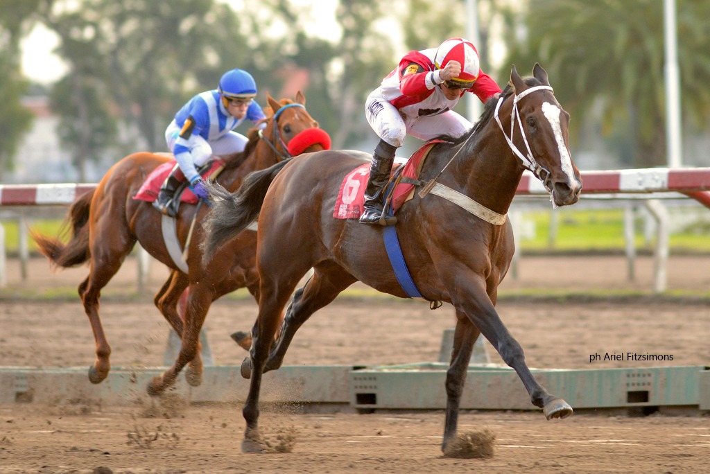 Roberts Pen (Orpen) se quedó con la victoria en el Clásico Ignacio Correas (1600m-Arena-LP). - Staff ElTurf.com