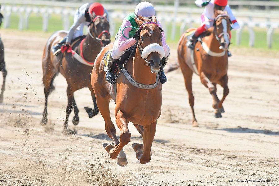 Pure Dolca (Pure Prize) se queda con Condicional (1100m-Arena-PAL). - Staff ElTurf.com