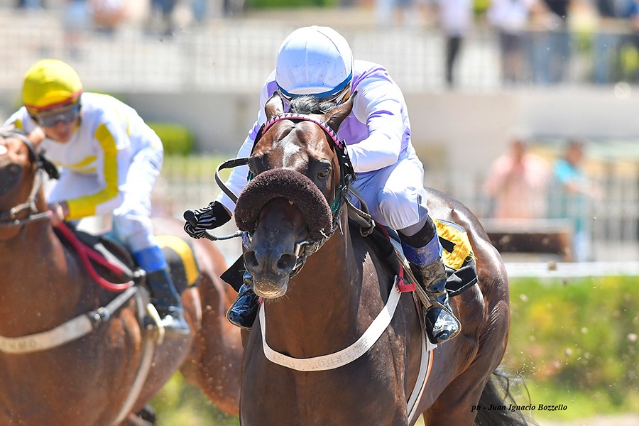 Mago Total (Pure Prize) se lleva Condicional (1400m-Arena-PAL). - Staff ElTurf.com