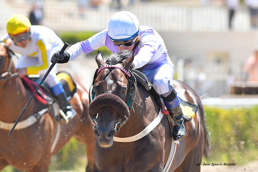 Mago Total (Pure Prize) se lleva Condicional (1400m-Arena-PAL). - Staff ElTurf.com