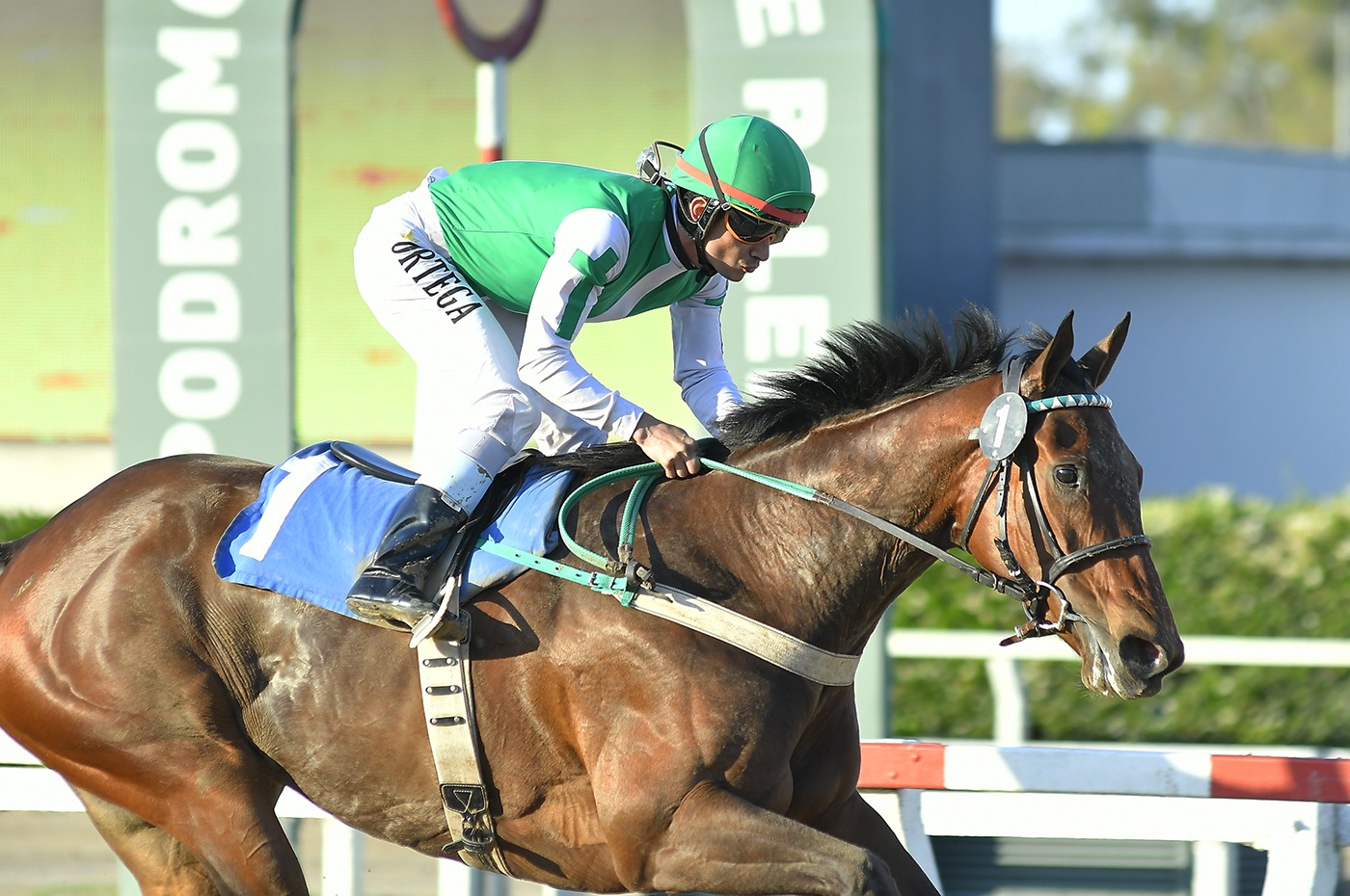 Paddock Seattle supera con claridad a Star Austral - Jaime Casas