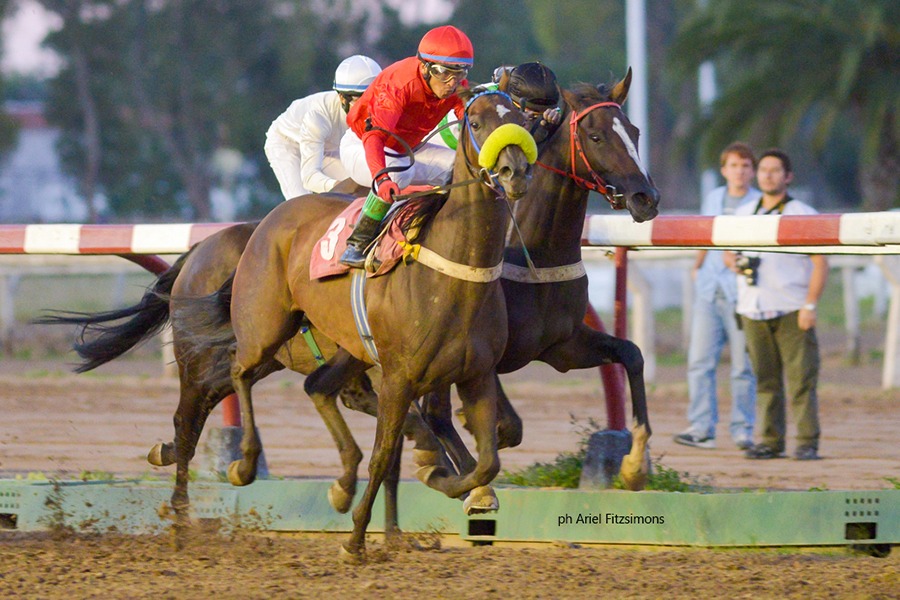 Seattle Juliette (Seattle Fitz) se adjudica Condicional (2000m-Arena-LP). - Staff ElTurf.com