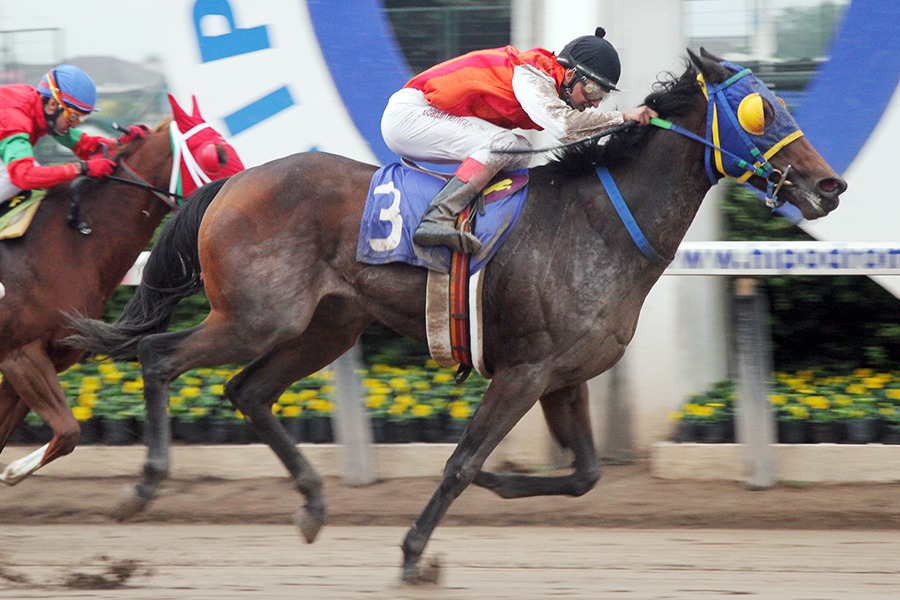 Victory Song (Buzzword) se queda con la victoria en Condicional (1000m-Arena-HCH). - Staff ElTurf.com