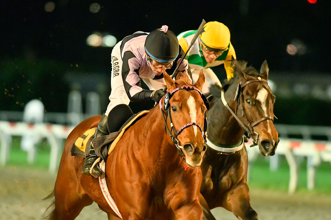 Ever Pizzi (Ever Peace) se adjudica Handicap (1000m-Arena-PAL). - Staff ElTurf.com