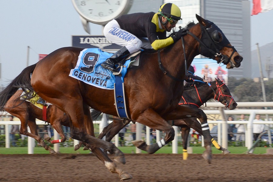 Genoveva (Man Of Iron) conquista el Clásico República de Colombia (1200m-Arena-MONT). - Staff ElTurf.com
