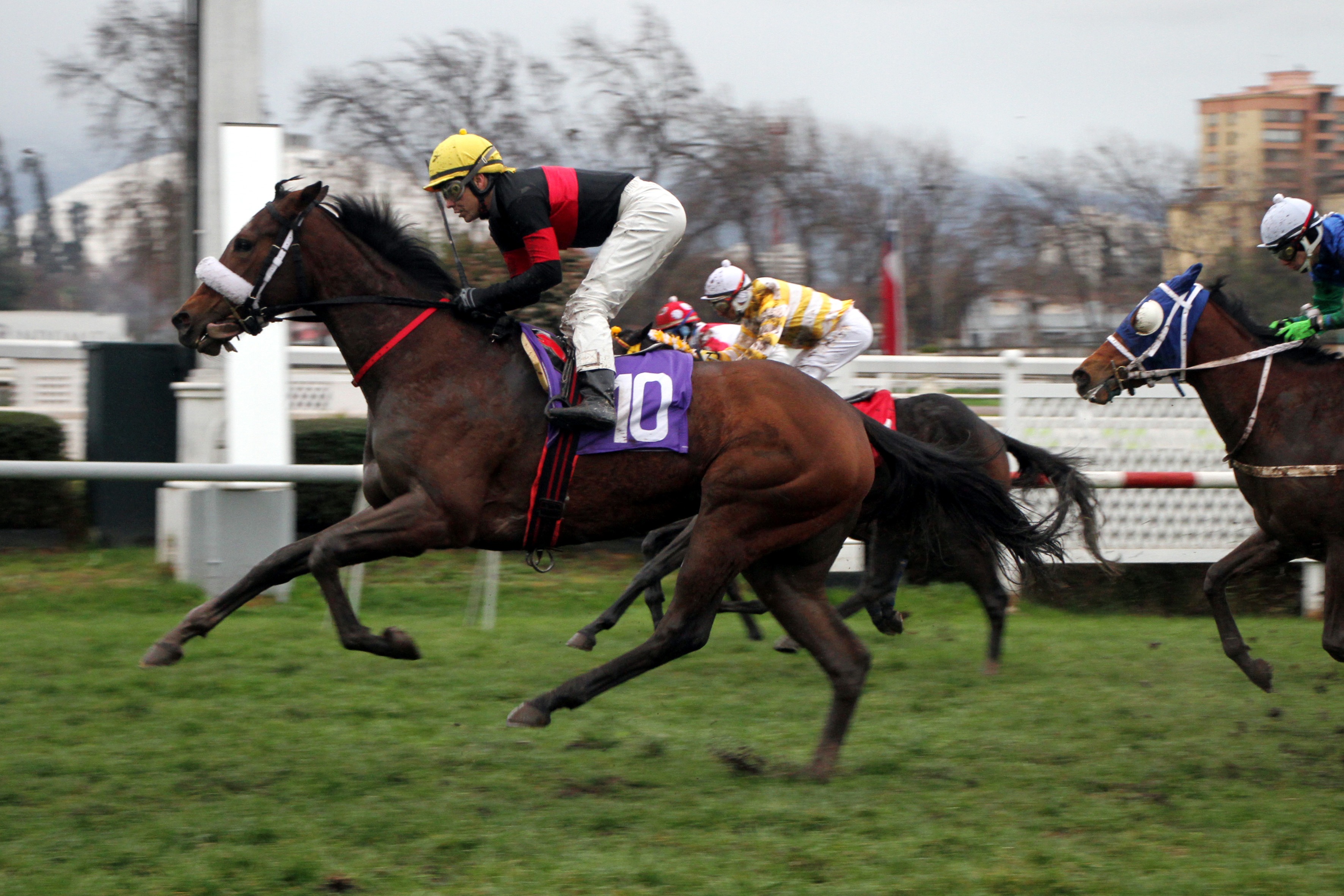 Sara Sara (Interaction) brilla en Condicional (1200m-Pasto-CHS). - Staff ElTurf.com