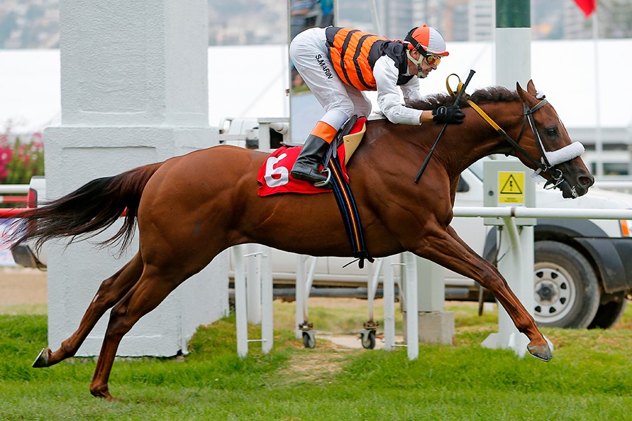 Giovanotti (Monthir) se adjudicó el Clásico Lionel Wodehouse (1000m-Pasto-VSC). - Staff ElTurf.com