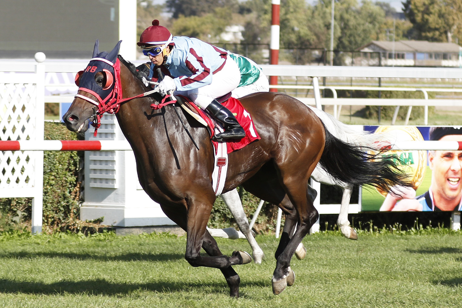 Un Buen Combate (Gstaad II) se lleva Handicap (1000m-Pasto-CHS). - Staff ElTurf.com