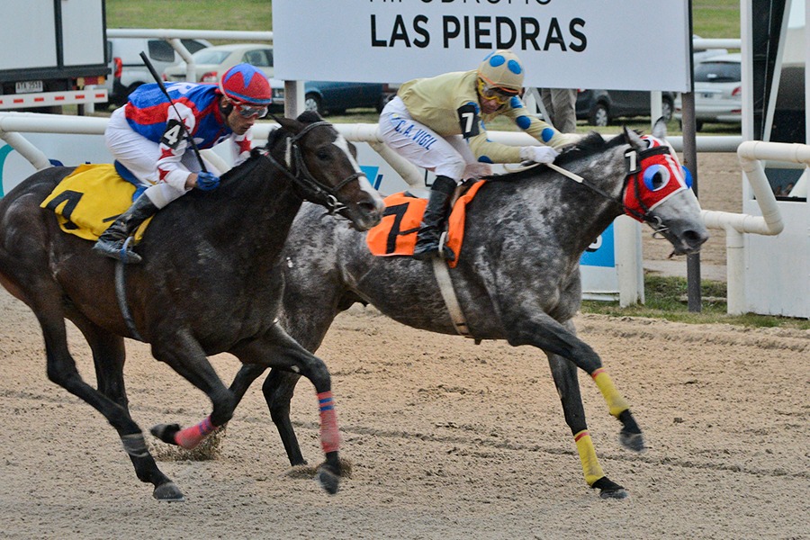 Mi Centinela (Capitano Corelli) brilló en el Clásico Gran Premio Batalla De Las Piedras (G3-2000m-Arena-LPI). - Staff ElTurf.com