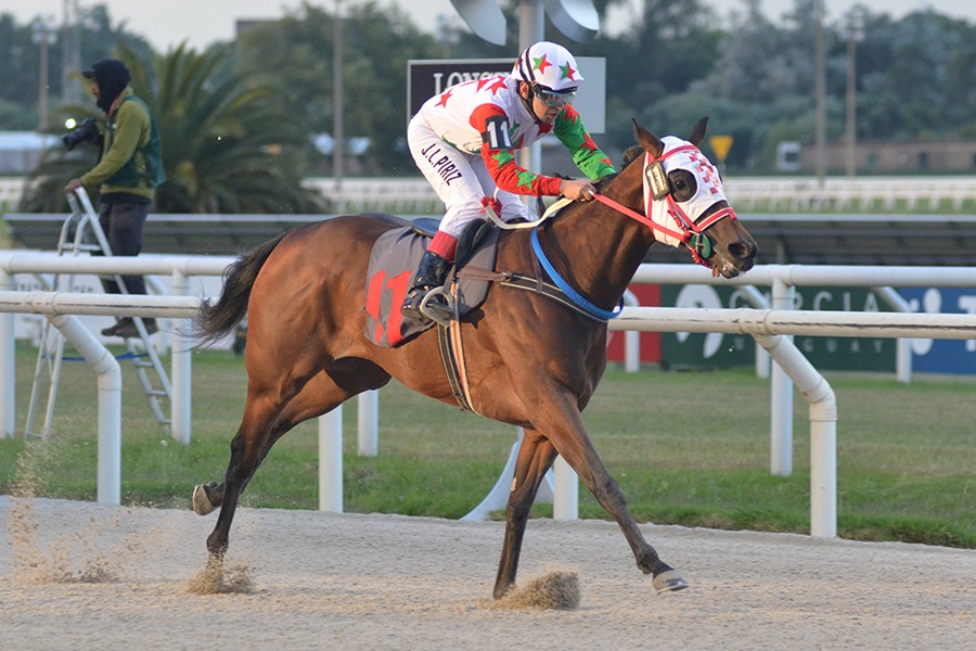Kalu (Awzaan) se queda con la victoria en Condicional (1100m-Arena-MAR). - Staff ElTurf.com