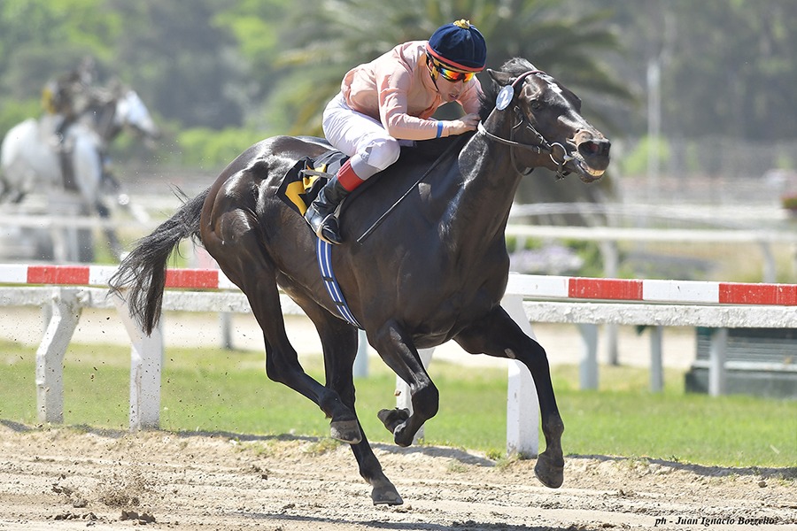 Marie Curie (Interaction) se impuso en Condicional (1400m-Arena-PAL). - Staff ElTurf.com