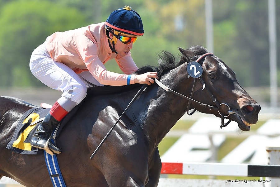 Marie Curie (Interaction) se impuso en Condicional (1400m-Arena-PAL). - Staff ElTurf.com