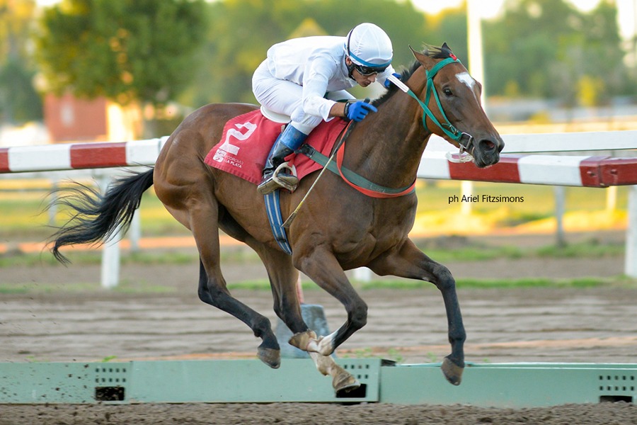 Dulce Liza (Lizard Island) se queda con Condicional (1100m-Arena-LP). - Staff ElTurf.com