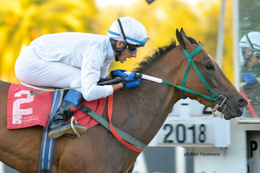 Dulce Liza (Lizard Island) se queda con Condicional (1100m-Arena-LP). - Staff ElTurf.com